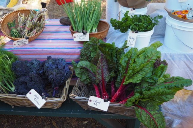 mayne island farmers market